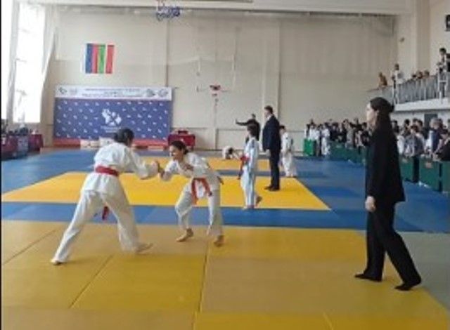 Юная чемпионка из Лаишево завоевала путёвку на ПФО