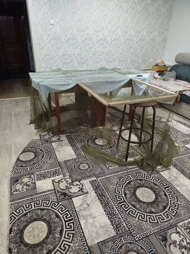 «Леший» из Лаишево: рукотворная невидимость для бойцов СВО
