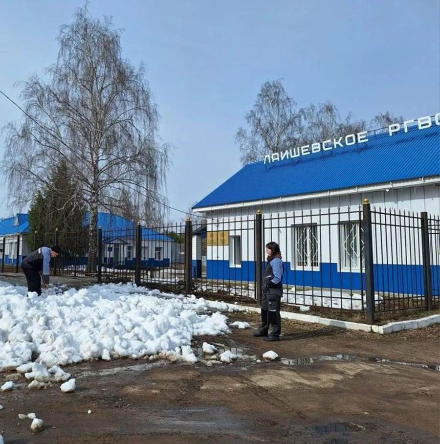 Лаеш ветеринария табиблары үз участокларына яз бүләк итте
