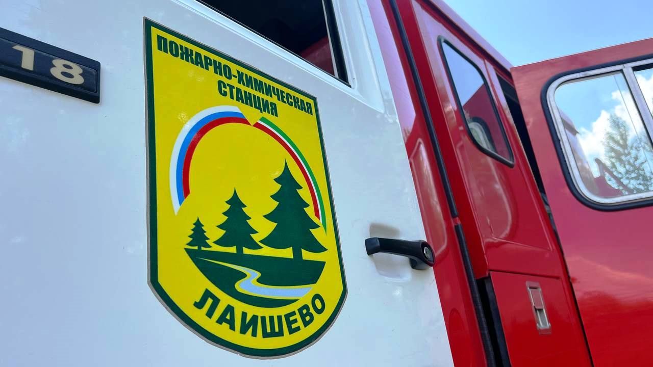 С 25 апреля — запрет на костры и пиротехнику: спасём леса до пожаров