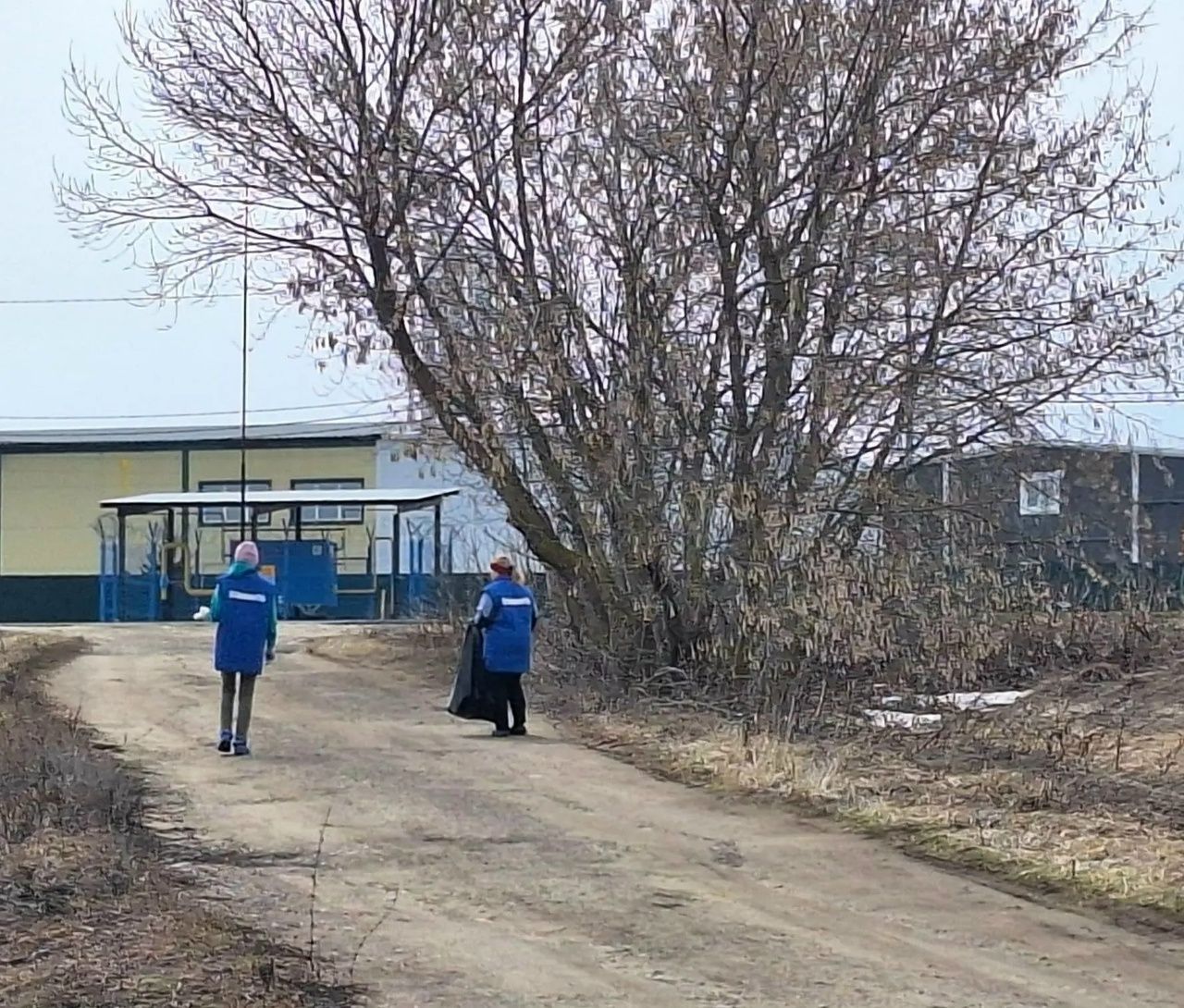 Ветврачи Лаишева подарили весну своему участку