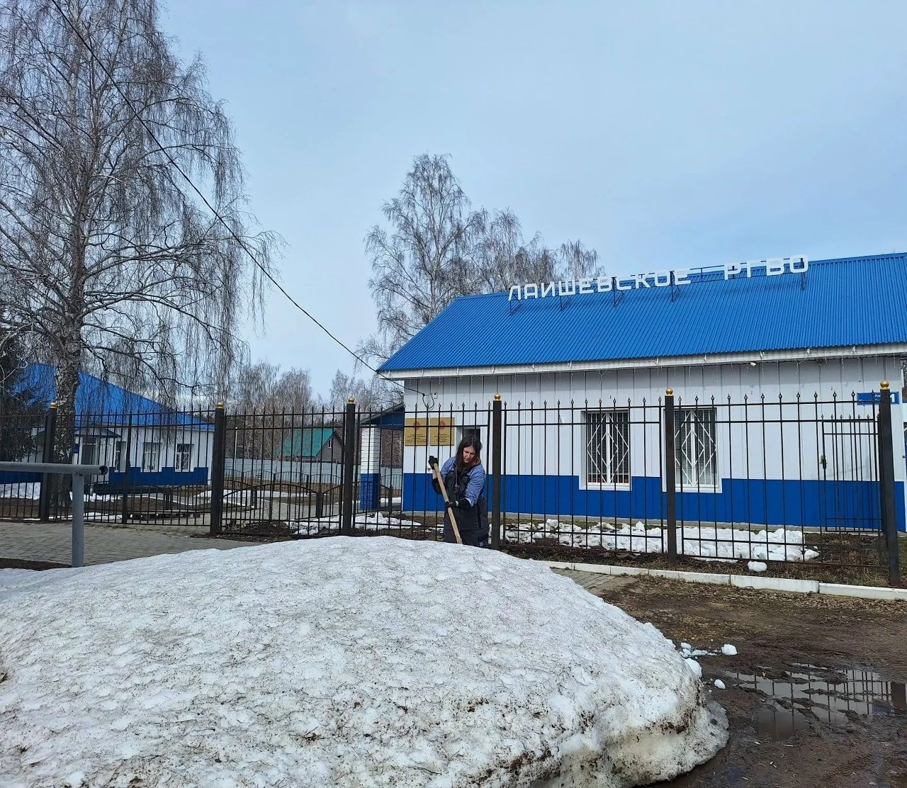 Ветврачи Лаишева подарили весну своему участку