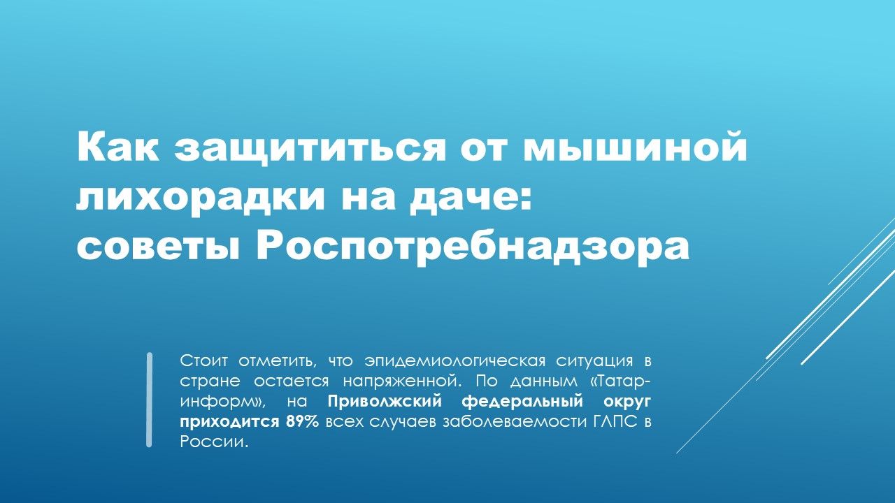 Как защититься от мышиной лихорадки на даче: советы Роспотребнадзора