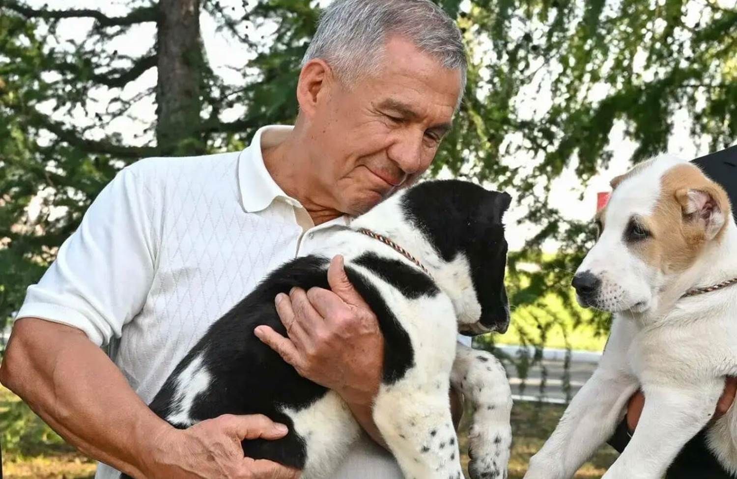 Гурбангулы Бердымөхәммәдов Татарстан Рәисенә ике алабай көчеген бүләк итте