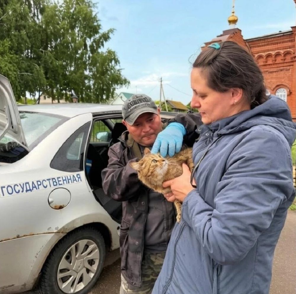 В Лаишевском районе продолжают вакцинировать домашних животных от бешенства