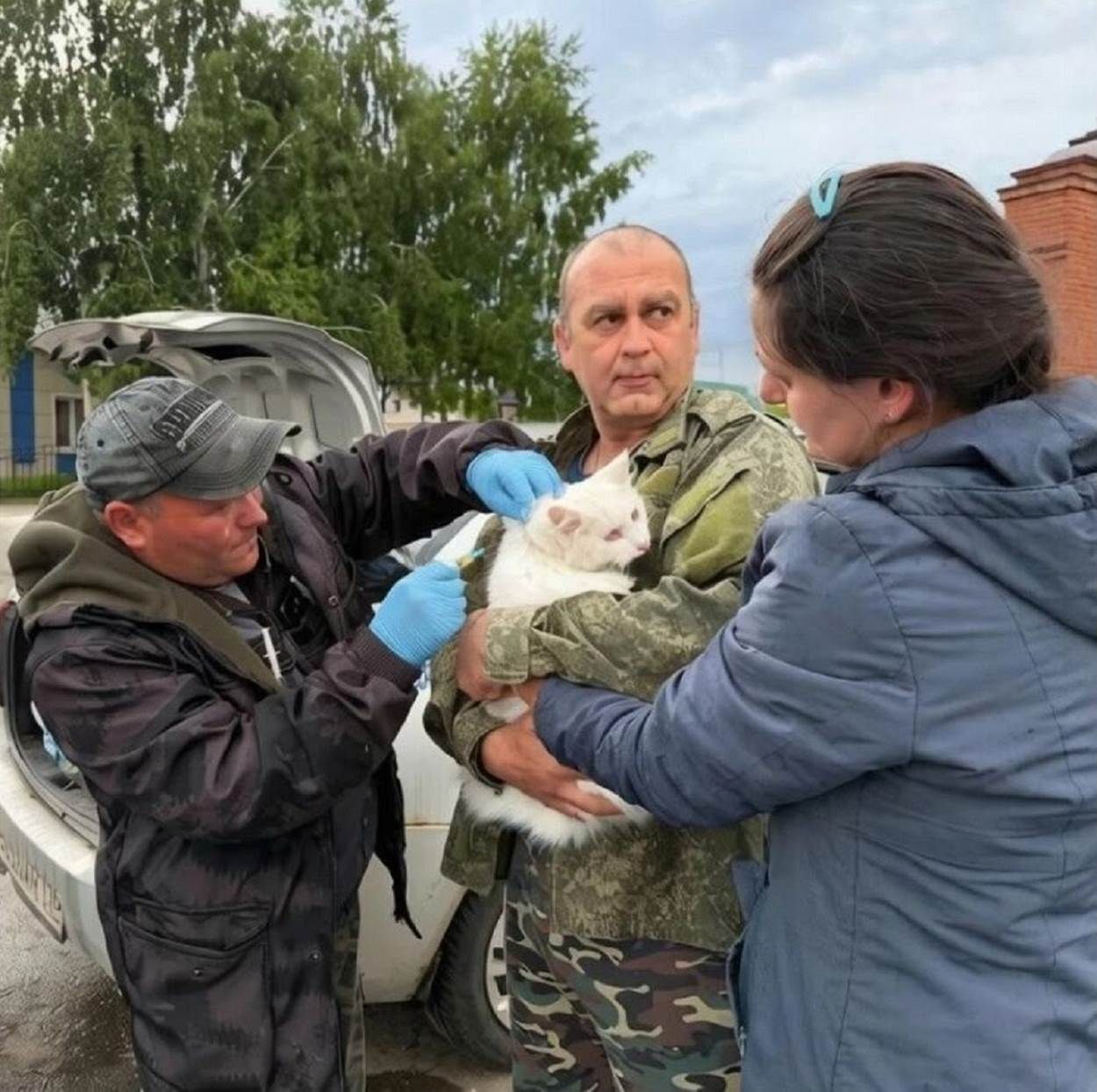 Лаеш районында йорт хайваннарына котыру чиренә каршы вакцинация ясау дәвам итә