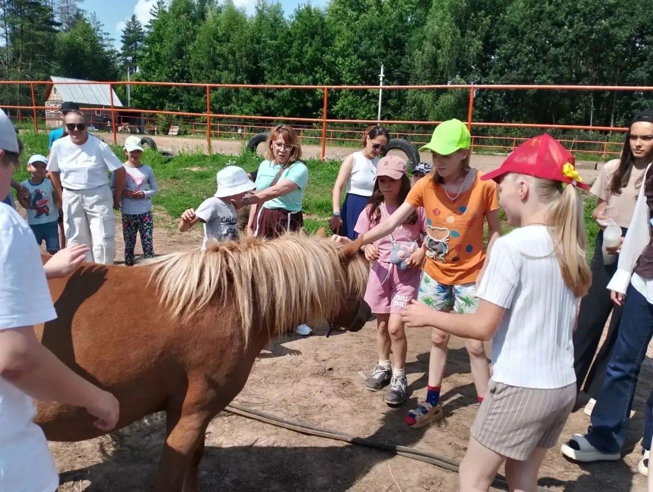 Волшебный день в конном клубе «Рассвет»