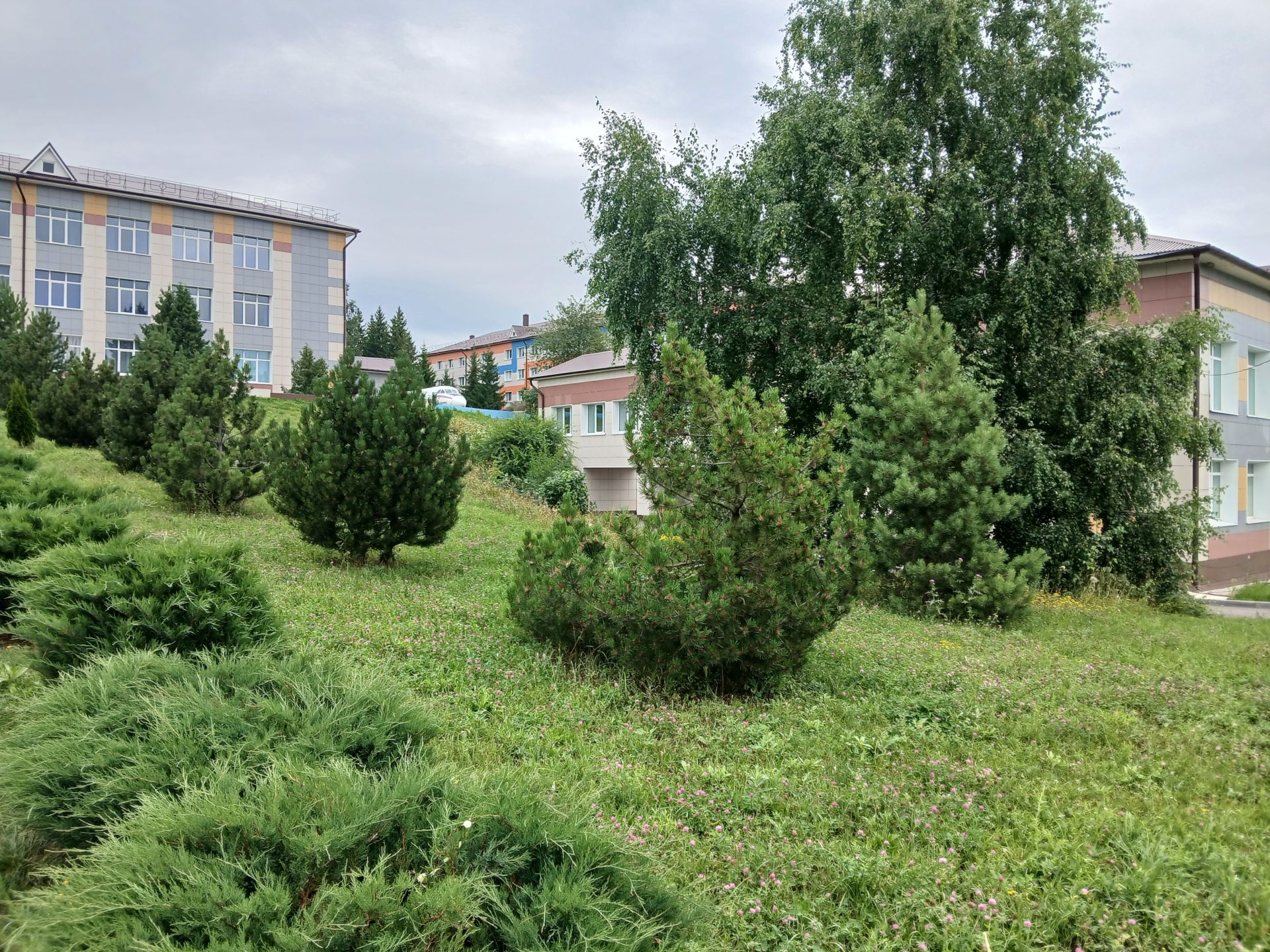 Татарстан – лидер среди регионов России по созданию образовательных кластеров