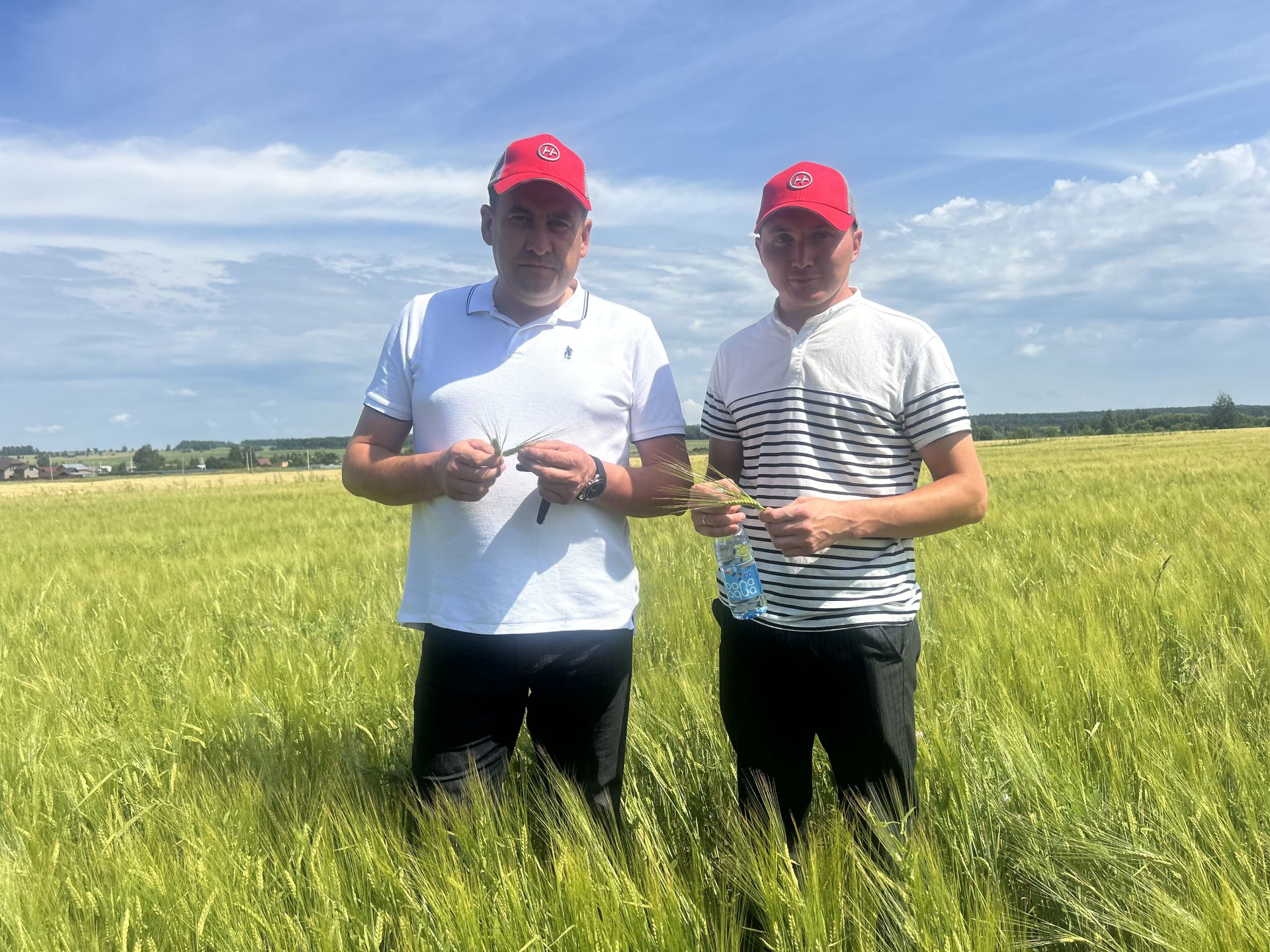 В Бутырях прошёл День поля HORSCH: современные технологии для эффективного земледелия