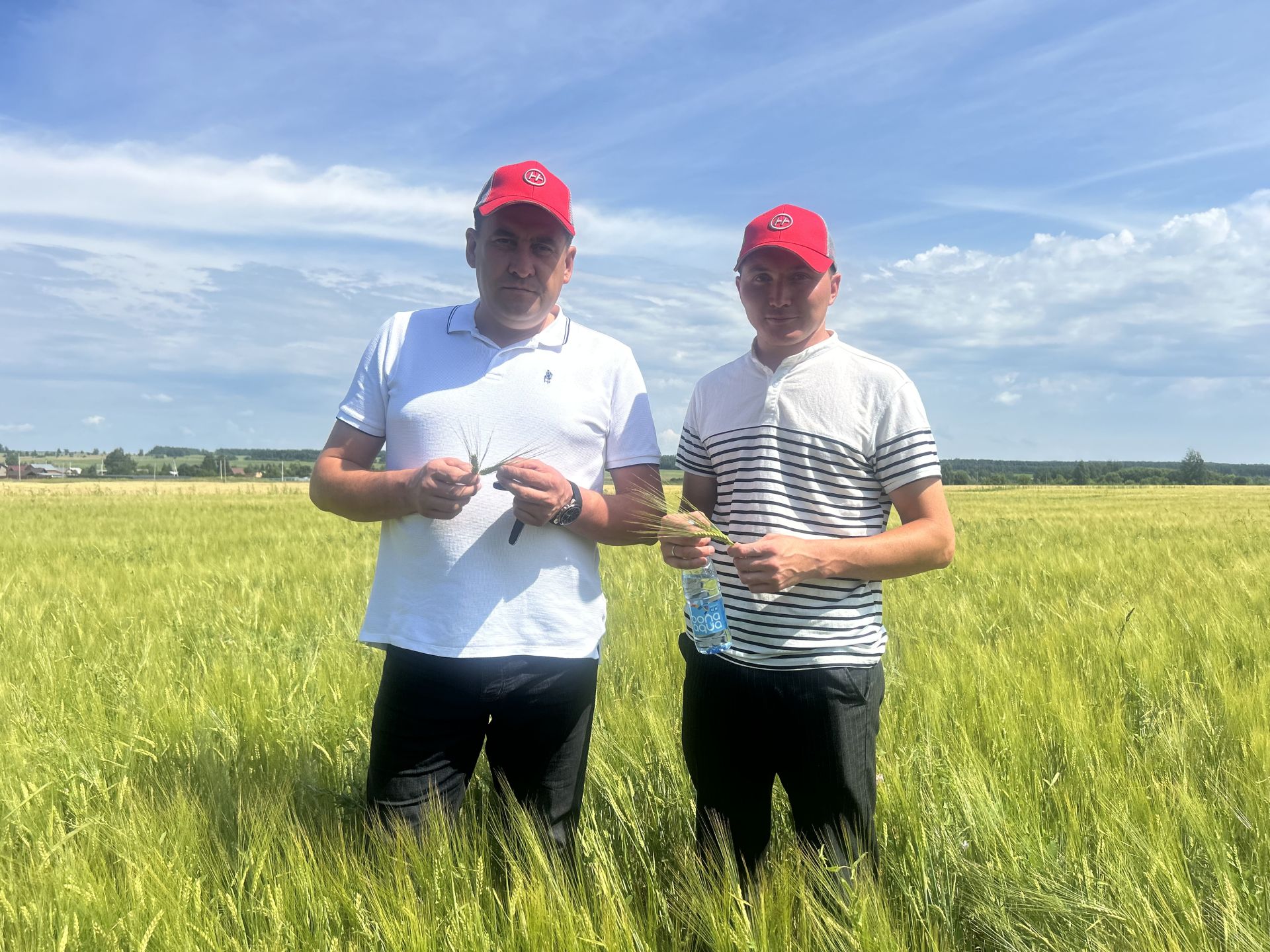 В Бутырях прошёл День поля HORSCH: современные технологии для эффективного земледелия