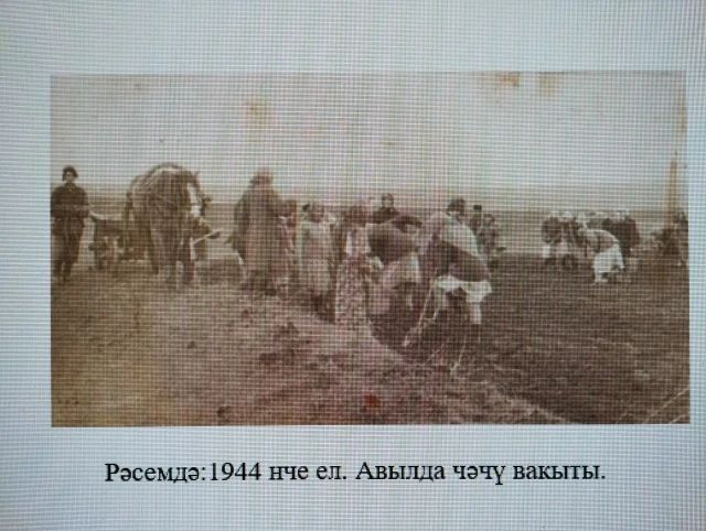 Шәҗәрә бәйгесендә лауреатыбыз бар: Сәлим Гатауллинны зур уңышы белән котлыйбыз!