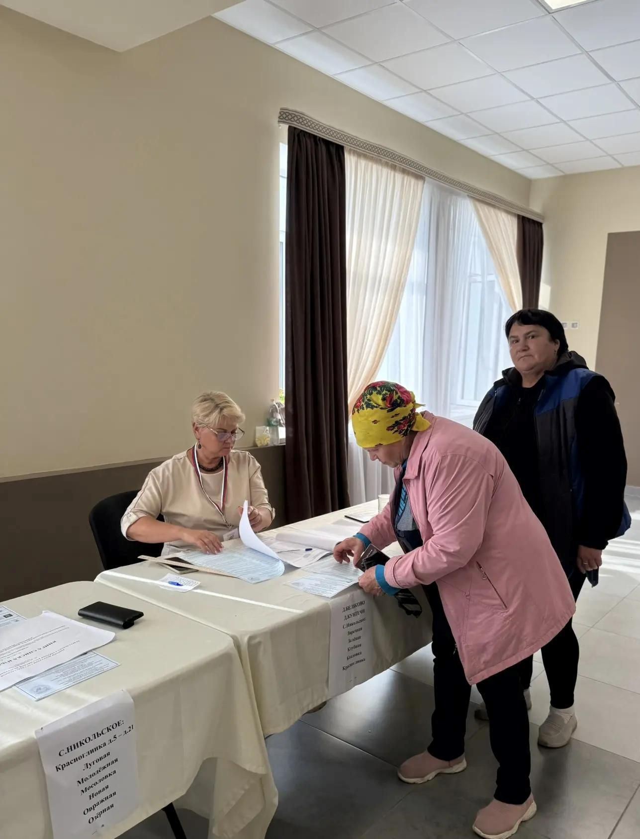 Избиратели говорят, почему они участвуют в выборах