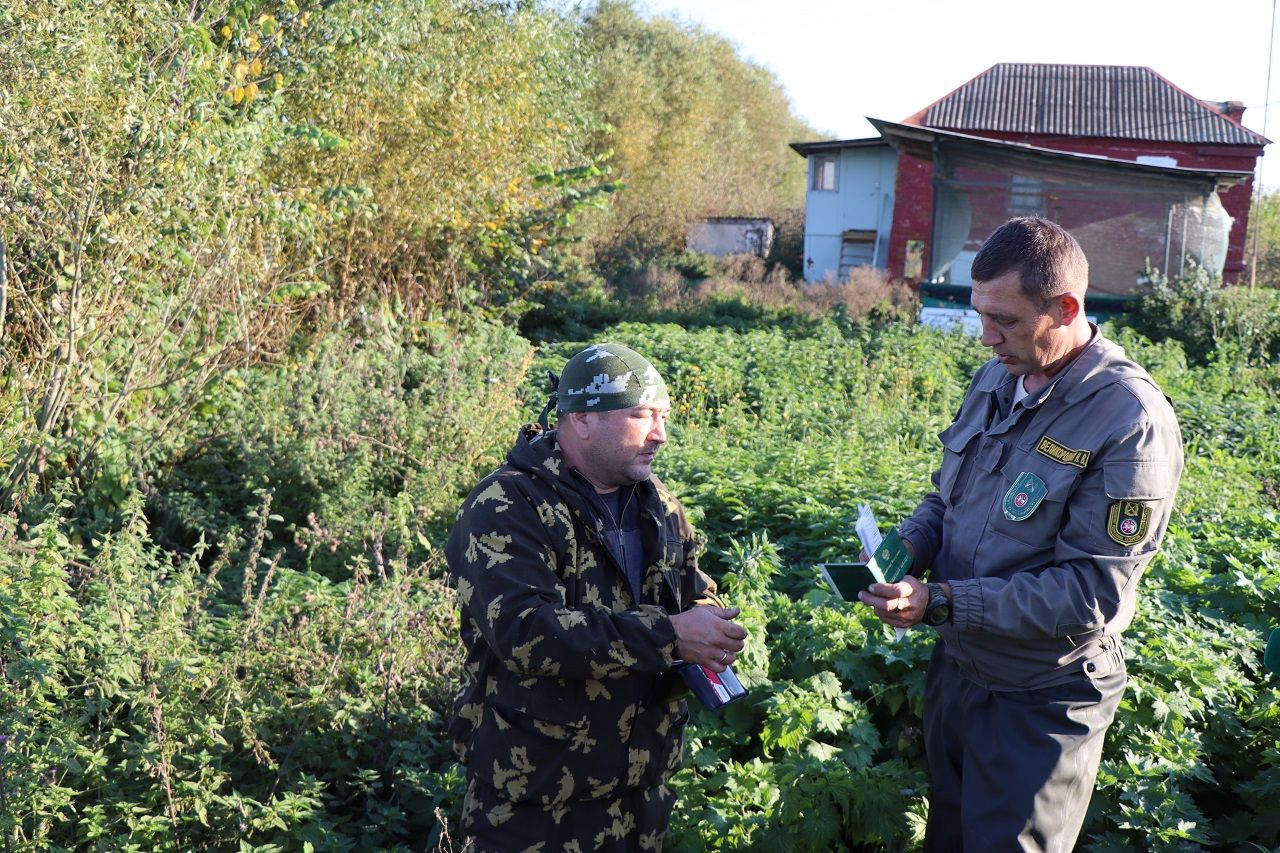 За один рейд в Лаишевском районе обнаружили шесть сетей и незаконную постройку
