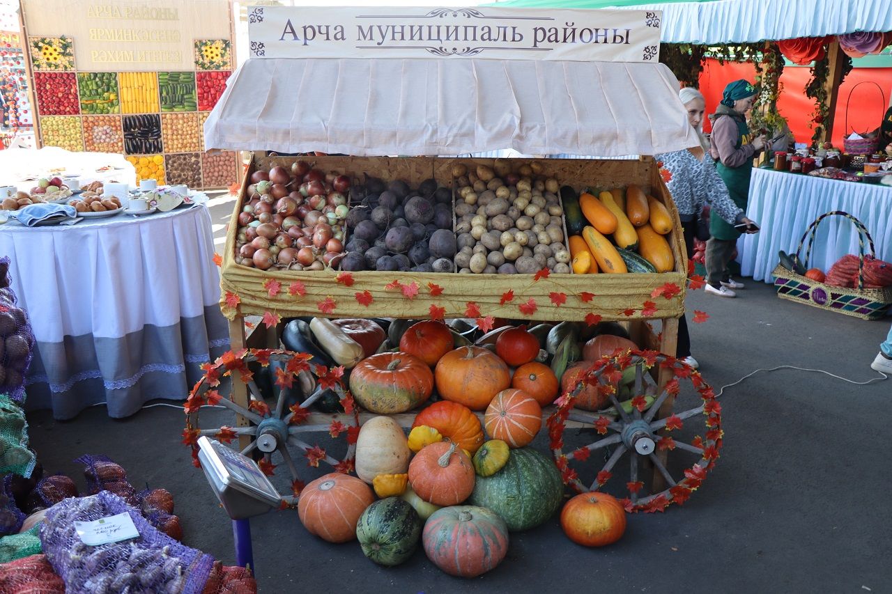 Лаишевский район принял активное участие в выставке «Город мастеров» в Казани