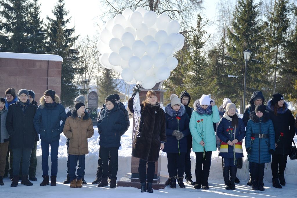 Митинг в парке Победы Лаишева 15 февраля 2018 года