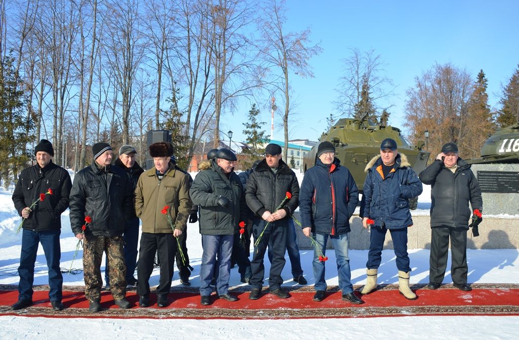 Митинг в парке Победы Лаишева 15 февраля 2018 года