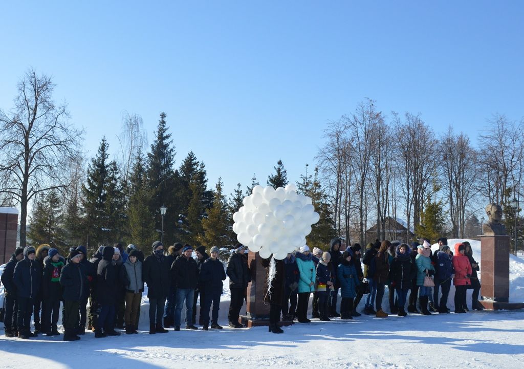 Митинг в парке Победы Лаишева 15 февраля 2018 года