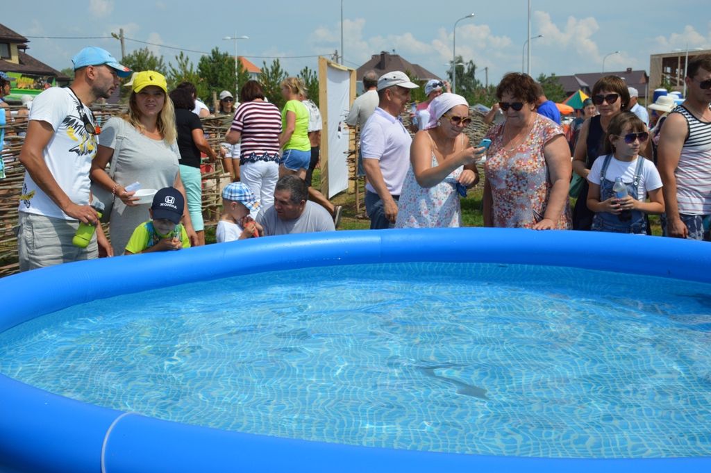 Фестиваль ухи в Лаишево 15.07.2018. Бесплатная уха