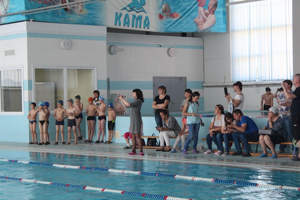Лаишевские пловцы подводят итоги года. Фото Людмилы Никифоровой.