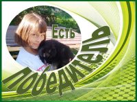 Определены победители финального голосования конкурса «Забавные питомцы» — 2025