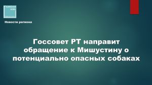Владельцев бультерьеров в России могут обязать проходить курсы дрессировки