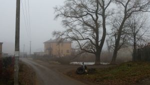В ночь на воскресенье в Лаишевском районе ждут заморозки
