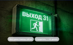 Проект «Выход 31» помогает детям не поддаться влиянию вербовщиков