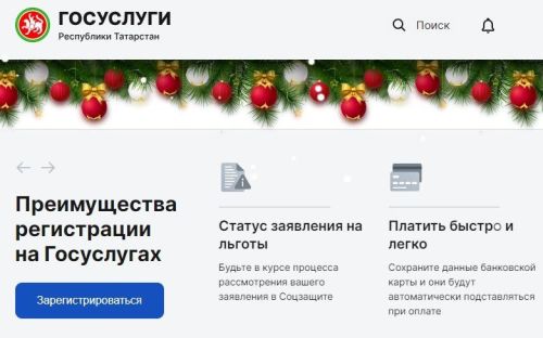 Более 11 млн оплат через портал госуслуг РТ произвели за год татарстанцы