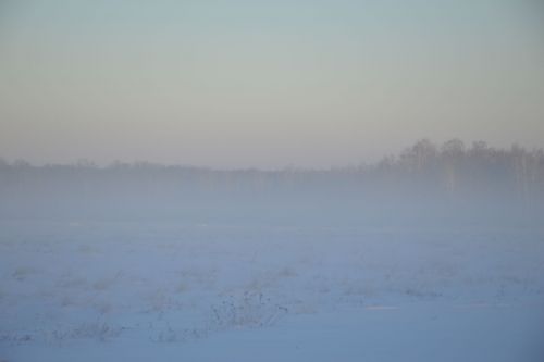 Фото: туманные Кирби