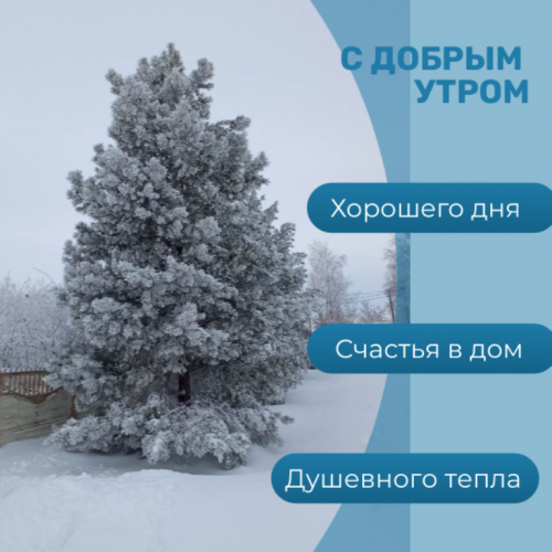 Фото читателя. С  добрым утром