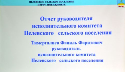 Глава Пелевского сельского поселения отчитался о проделанной в 2022 году работе
