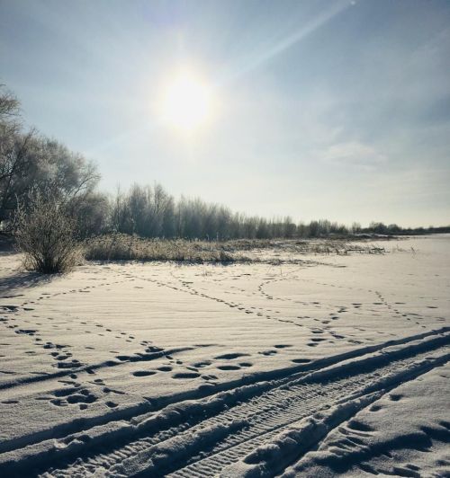Фото читателя. Зимнее Курманаково