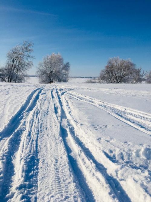 Фото читателя. Зимнее Курманаково