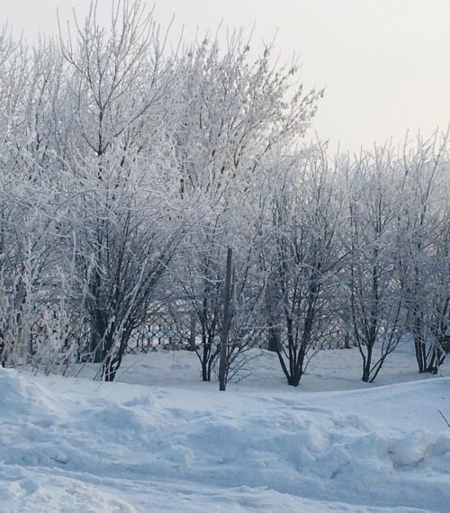 Фото читателя. Зимнее Курманаково