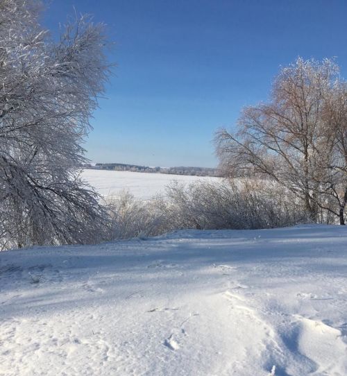 Фото читателя. Зимнее Курманаково