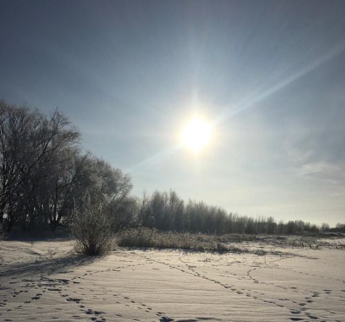 Фото читателя. Зимнее Курманаково