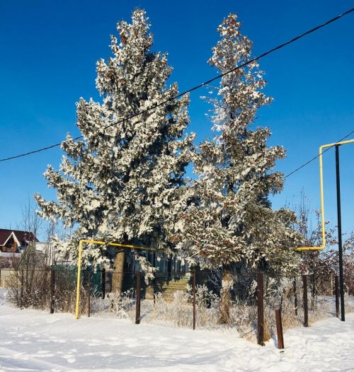 Фото читателя. Зимнее Курманаково