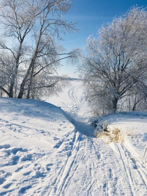 Фото читателя. Зимнее Курманаково