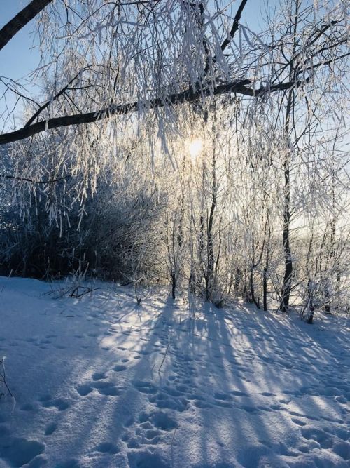 Фото читателя. Зимнее Курманаково