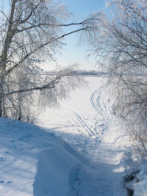 Фото читателя. Зимнее Курманаково