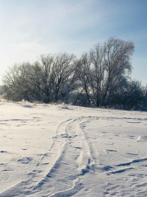 Фото читателя. Зимнее Курманаково