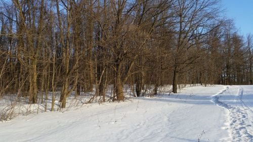 Сегодня в Лаишевском районе похолодает