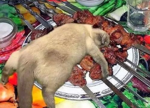 Умные мысли известных людей