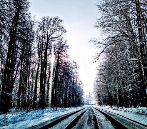 Фото читателя. Утро Нового года на Каме...