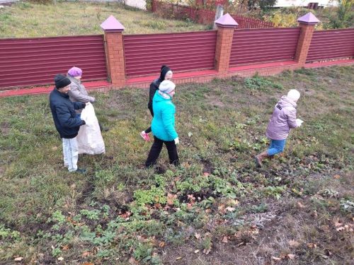 Жители Лаишева вышли на уборку городских улиц
