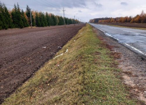 В Атабаевском поселении Лаишевского района поддерживают чистоту