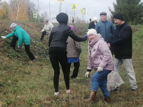 Жители Лаишева вышли на уборку городских улиц