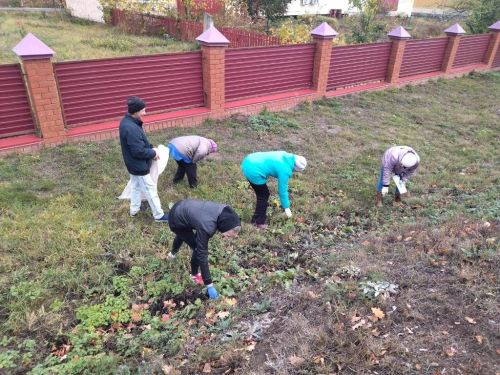 Жители Лаишева вышли на уборку городских улиц