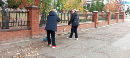 Жители Лаишева вышли на уборку городских улиц