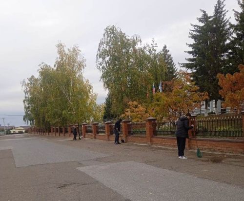 Жители Лаишева вышли на уборку городских улиц